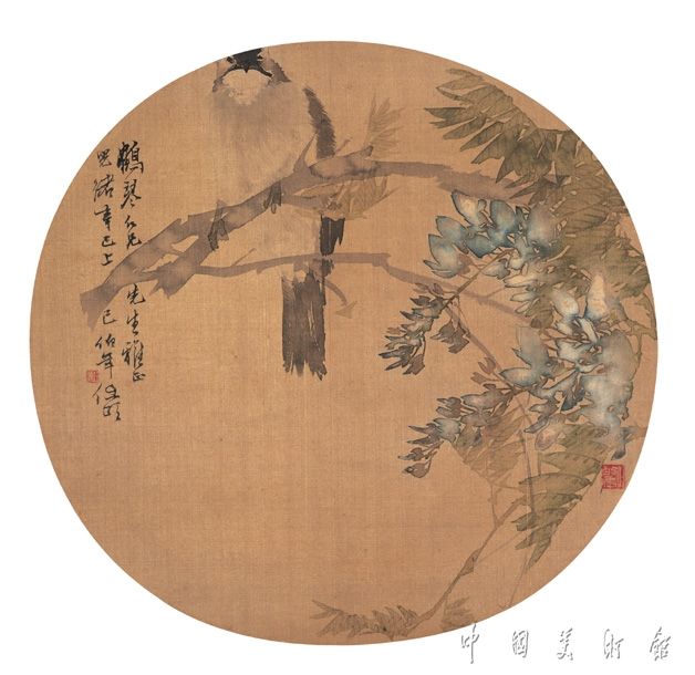 紫藤棲禽 紫藤棲禽