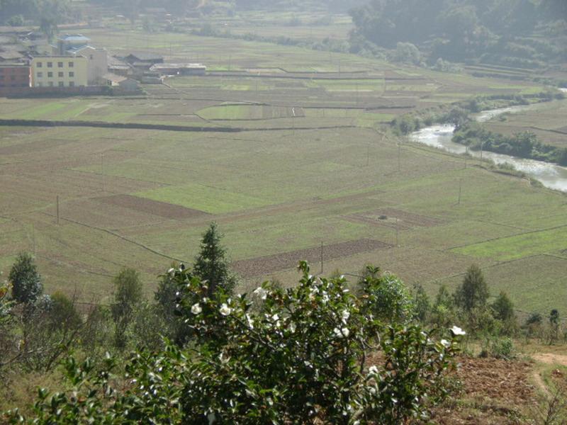 稻田二村 稻田二村