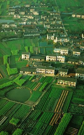 華北平原農村