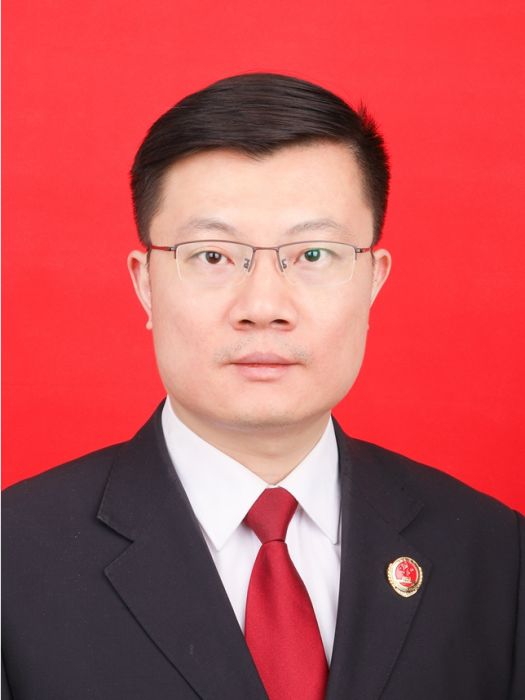陳嘉(江蘇省徐州市泉山區人民檢察院黨組成員、副檢察長、檢察委員會委員、一級檢察官) 陳嘉(江蘇省徐州市泉山區人民檢察院黨組成員、副檢察長、檢察委員會委員、一級檢察官)