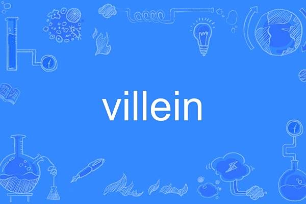 villein villein