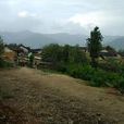 班龍村 班龍村