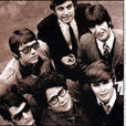The Turtles The Turtles