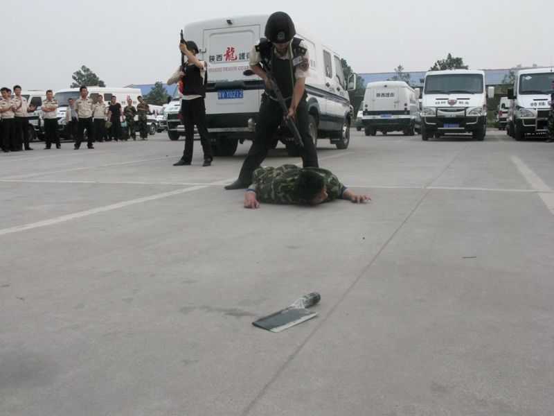 龍護衛 龍護衛