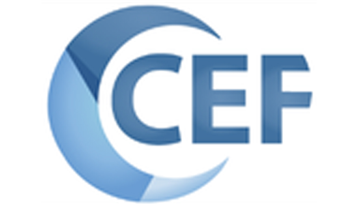 CEF(Chromium嵌入式框架)