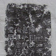 苗胤