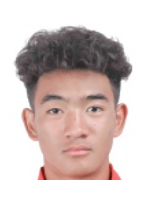 張智勇(納西族職業足球運動員) 張智勇(納西族職業足球運動員)