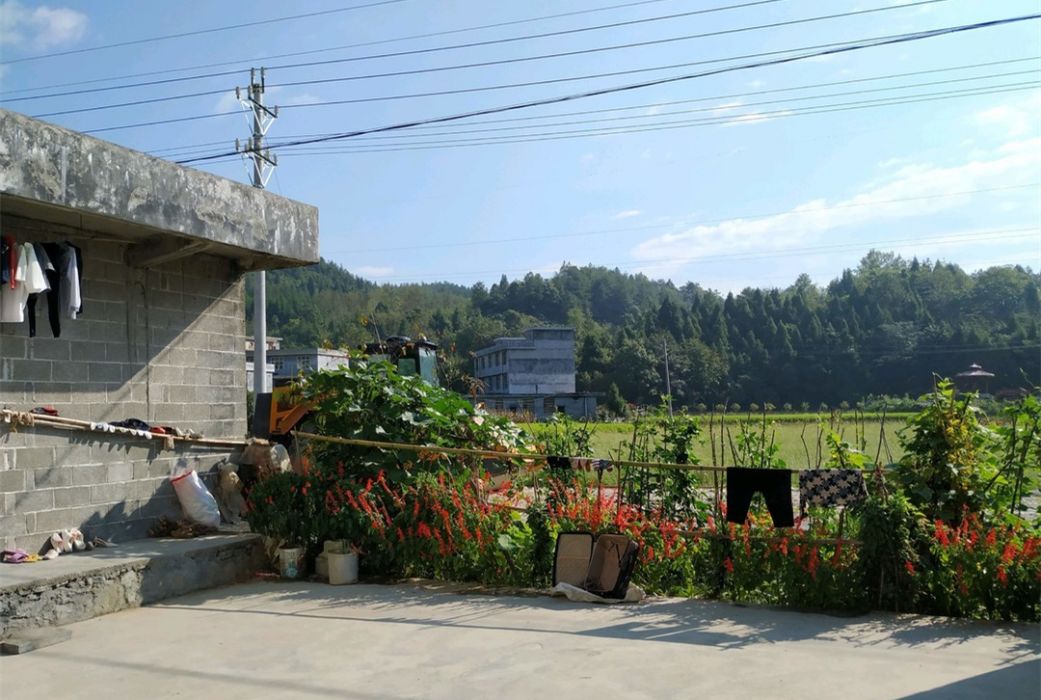 大馬官屯村 大馬官屯村