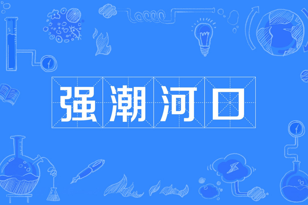 強潮河口 強潮河口