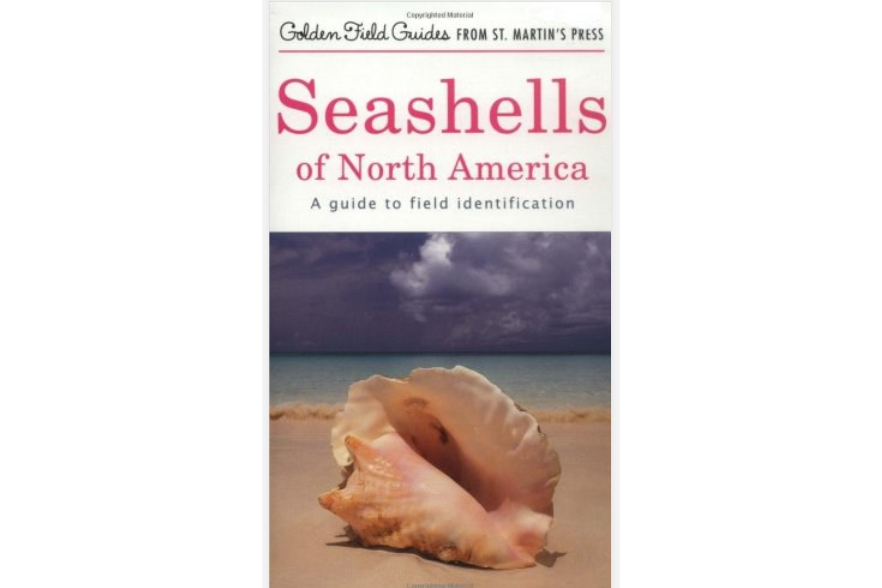 Seashells of North America Seashells of North America