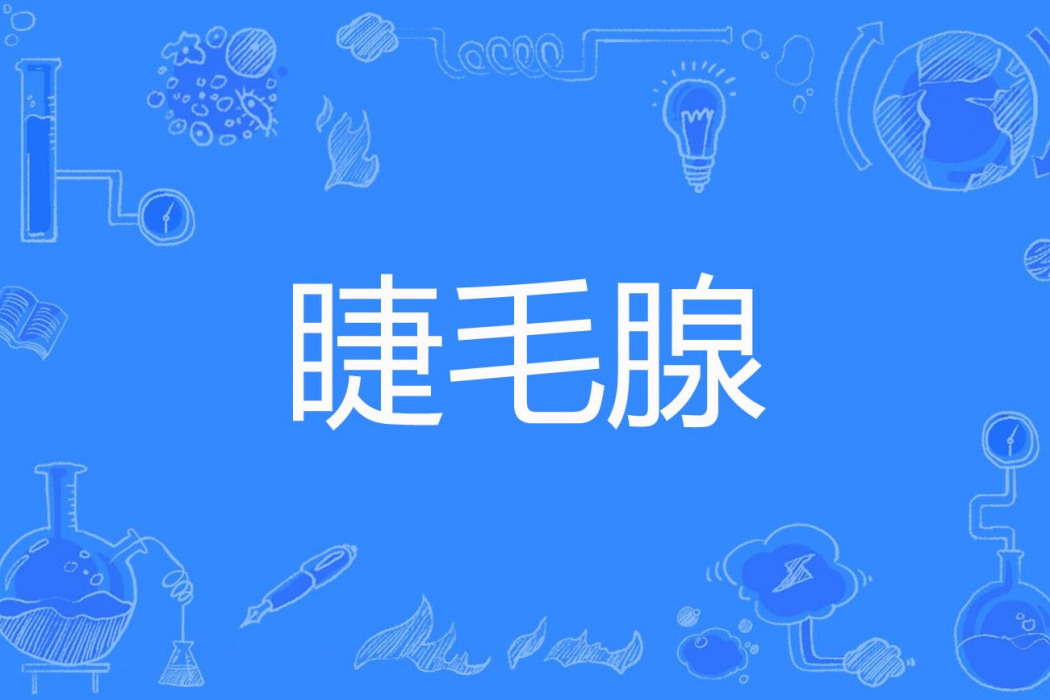 睫毛腺 睫毛腺