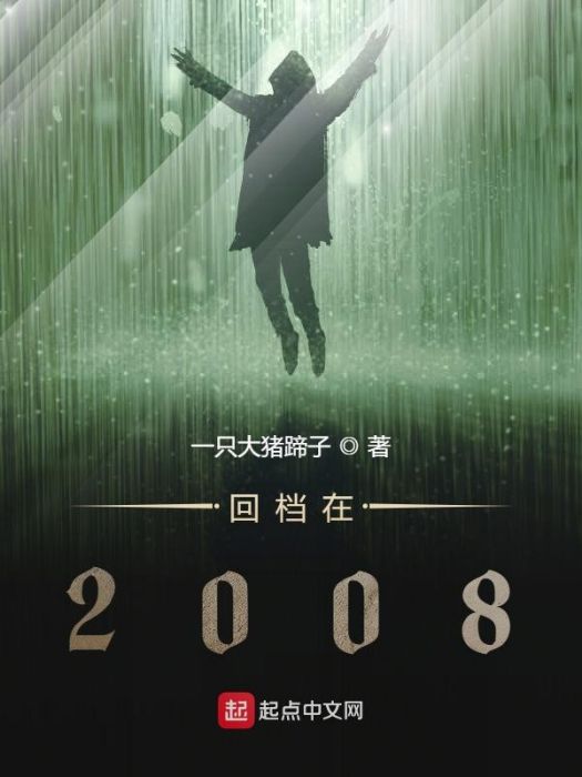 回檔在2008 回檔在2008