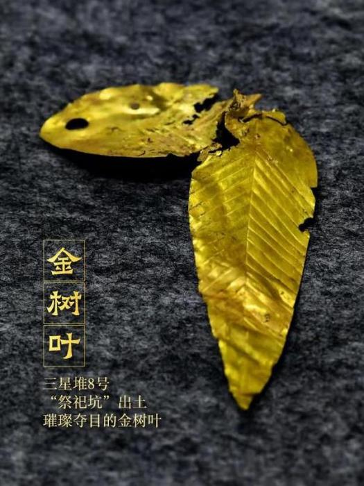 金樹葉 金樹葉