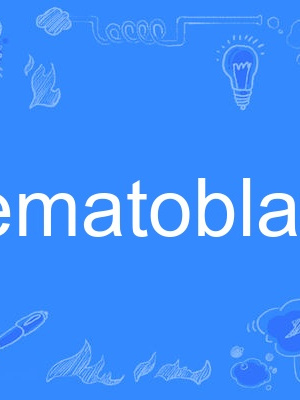 hematoblast hematoblast