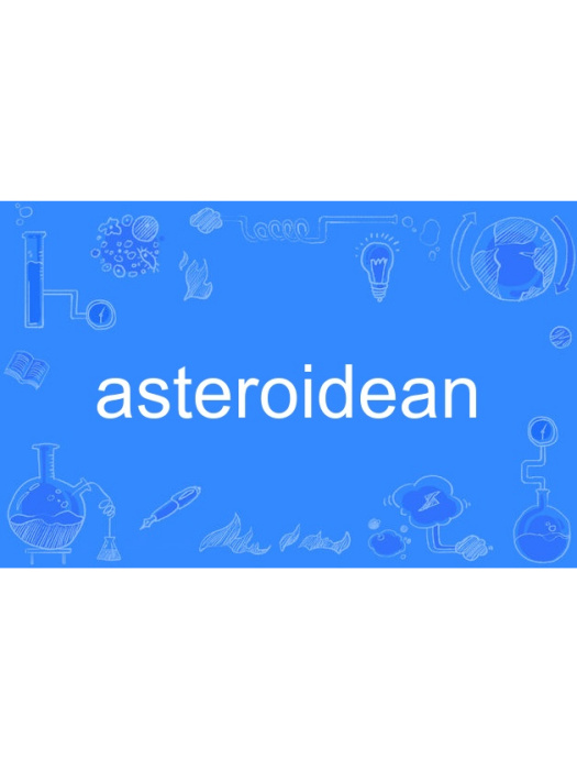 asteroidean asteroidean