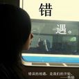 錯遇(小說) 錯遇(小說)