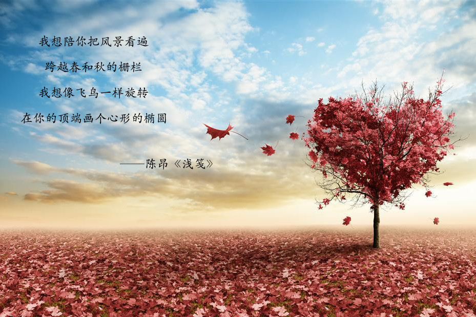 淺箋 淺箋