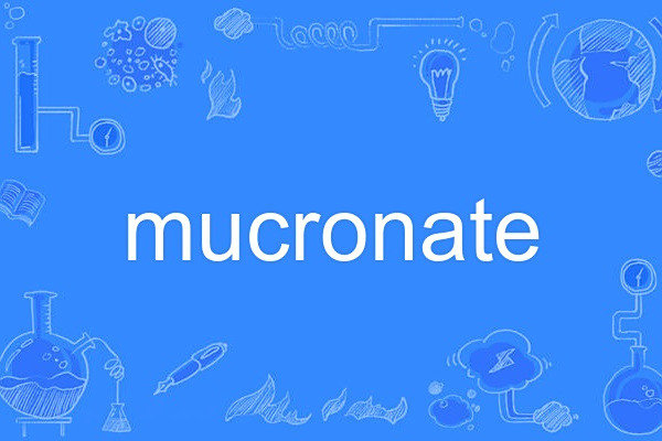 mucronate mucronate