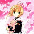 木之本櫻(小櫻(《魔卡少女櫻》中人物)) 木之本櫻(小櫻(《魔卡少女櫻》中人物))