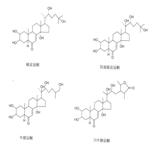 蛻皮激素