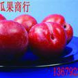 美藍寶石李 美藍寶石李