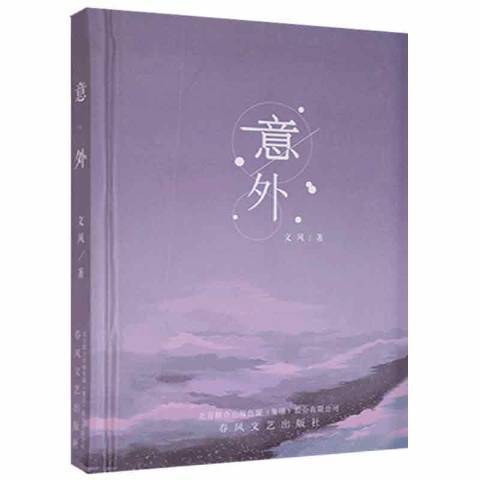 意外(2019年春風文藝出版社出版的圖書) 意外(2019年春風文藝出版社出版的圖書)