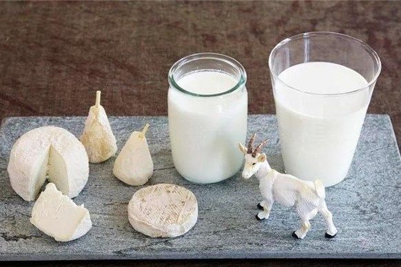馬蹄羊奶飲