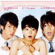 頭號冬粉(2010年中國台灣電視劇)