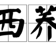 山西蕎寶 山西蕎寶