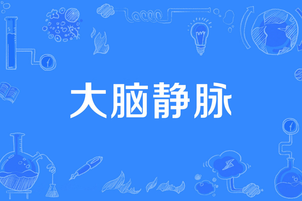 大腦靜脈 大腦靜脈