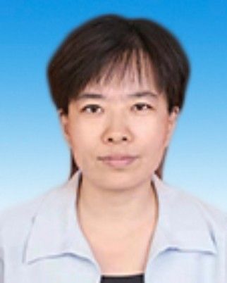王蕾(河南省漯河市舞陽縣委常委、組織部長) 王蕾(河南省漯河市舞陽縣委常委、組織部長)