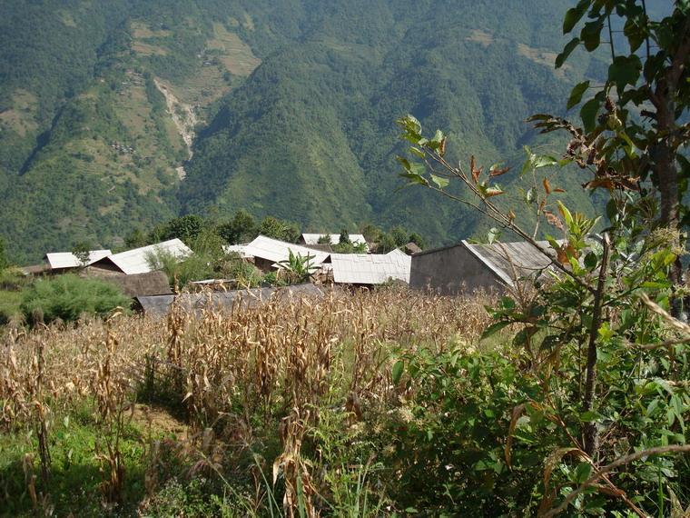 尼吾底村 尼吾底村