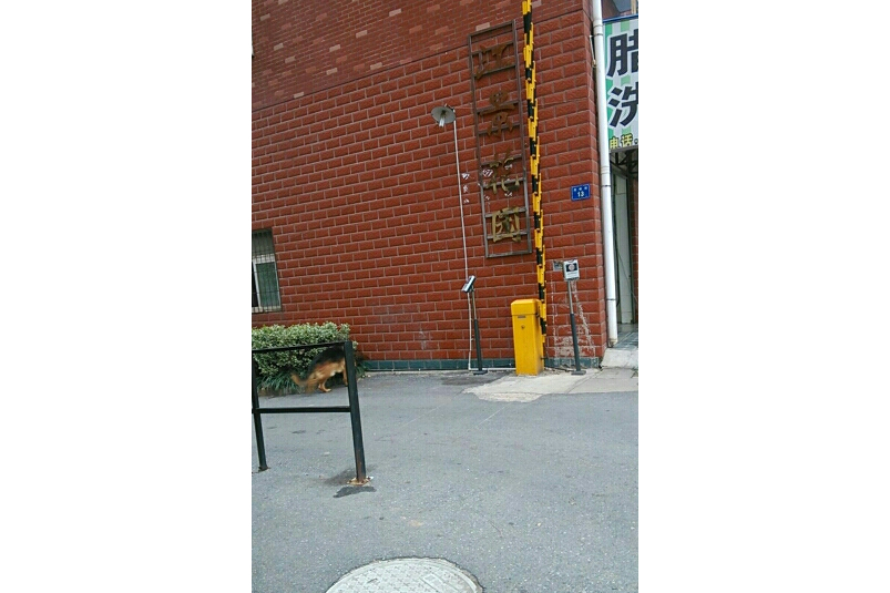 江景花園(武漢陽邏經濟技術開發區的住宅小區) 江景花園(武漢陽邏經濟技術開發區的住宅小區)