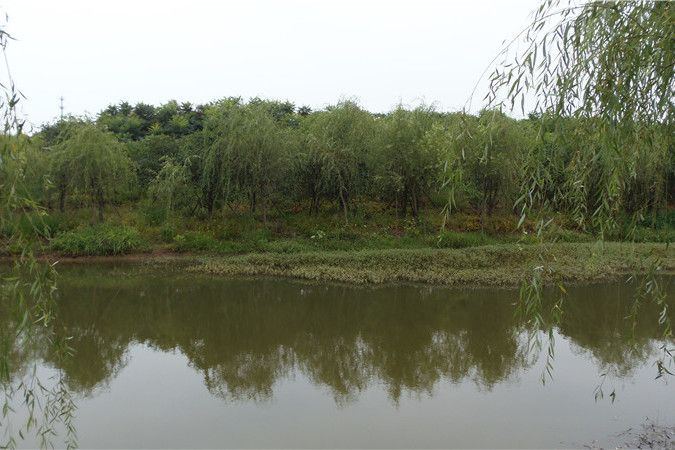 平安城遺址 平安城遺址