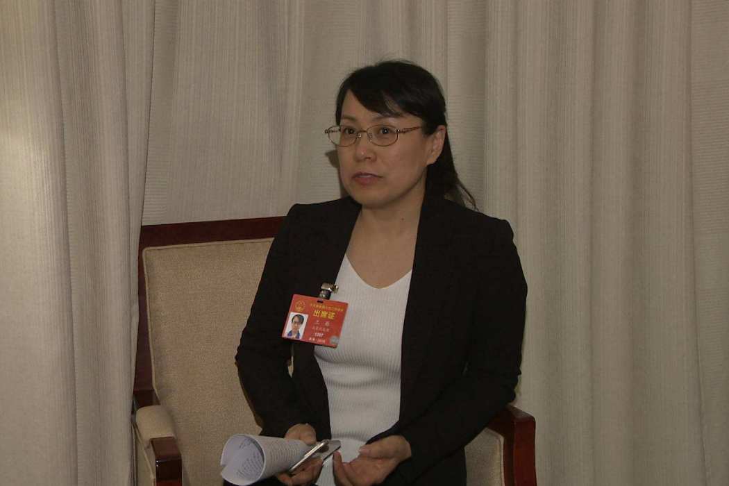 王雁(全國人大代表) 王雁(全國人大代表)