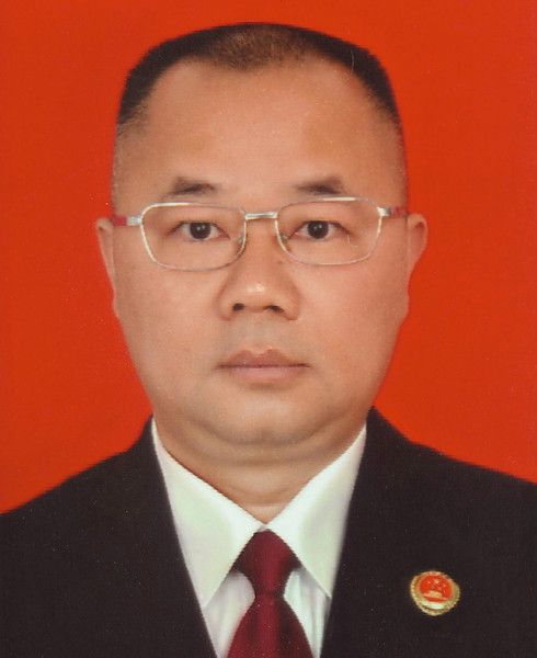 劉啟林(四川省人民檢察院國家檢察官) 劉啟林(四川省人民檢察院國家檢察官)