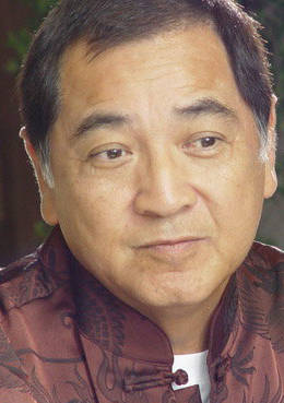 無國界行動(2006年穀錦雲執導電視劇)