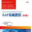 SAP基礎教程 SAP基礎教程