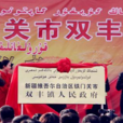 雙豐鎮(新疆鐵門關市雙豐鎮) 雙豐鎮(新疆鐵門關市雙豐鎮)