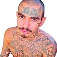ms-13 ms-13