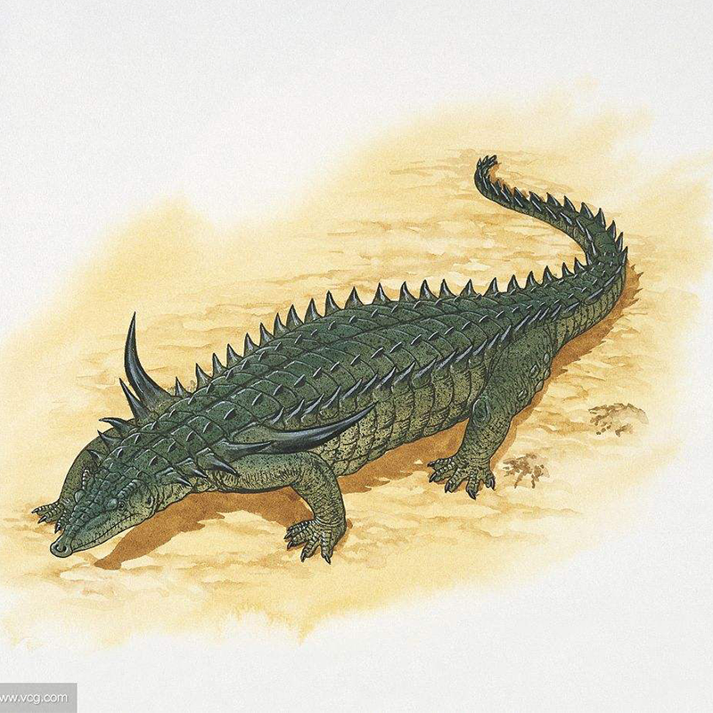 角鱗鱷