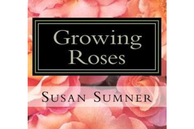 Growing Roses Growing Roses
