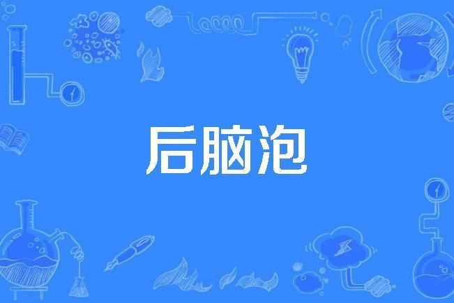 後腦泡 後腦泡