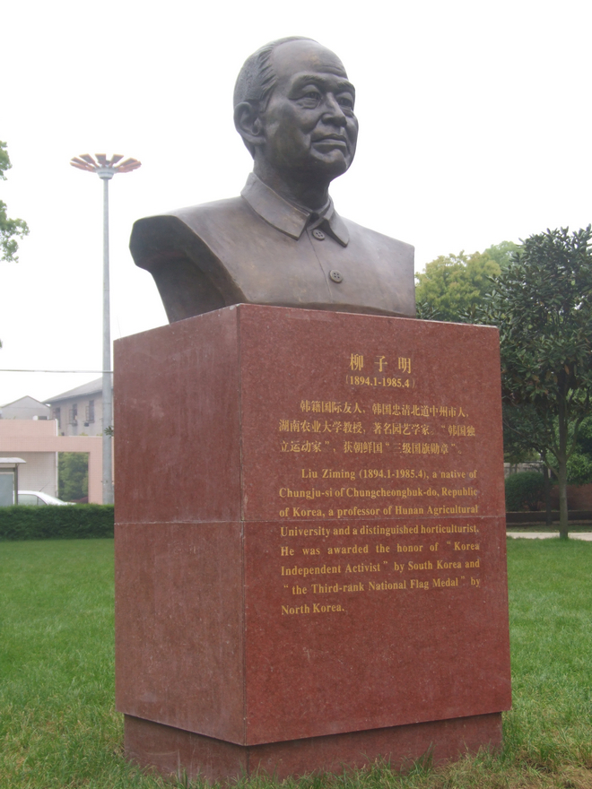 柳子明先生銅像