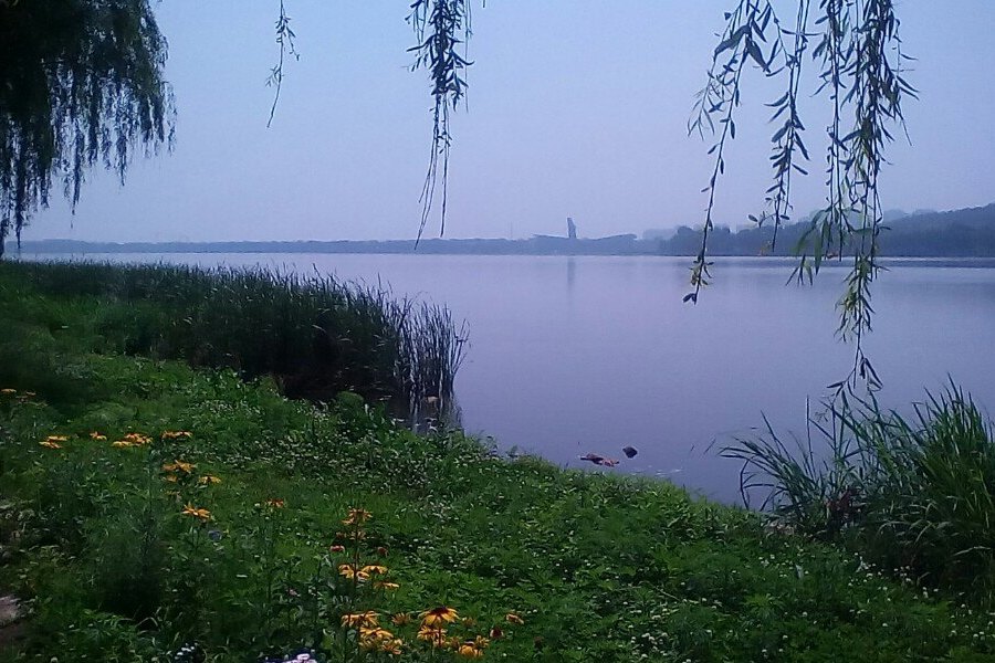 鴜鷺湖 鴜鷺湖