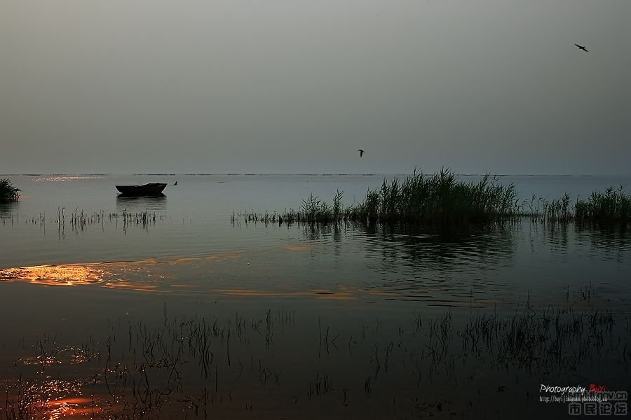 龍馬湖 龍馬湖