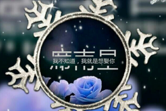 席南星 席南星