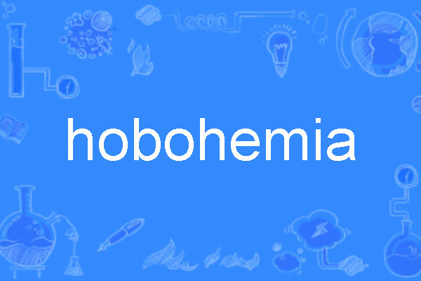 hobohemia hobohemia