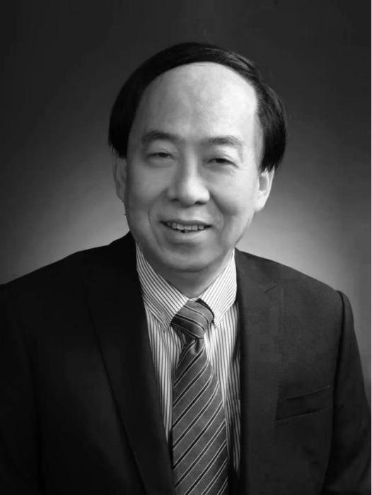 賀鵬(中國影視攝影師學會原副會長) 賀鵬(中國影視攝影師學會原副會長)