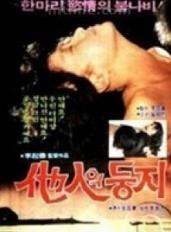 金美淑 金美淑